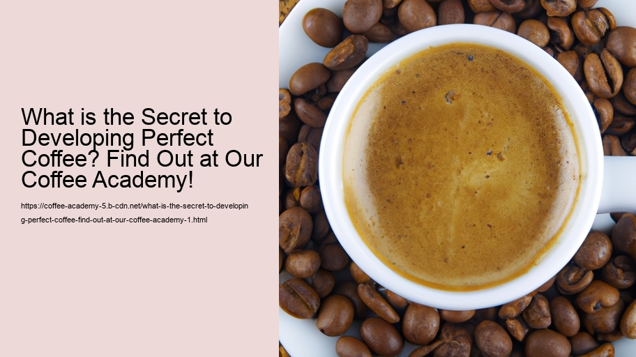 What is the Secret to Developing Perfect Coffee? Find Out at Our Coffee Academy!