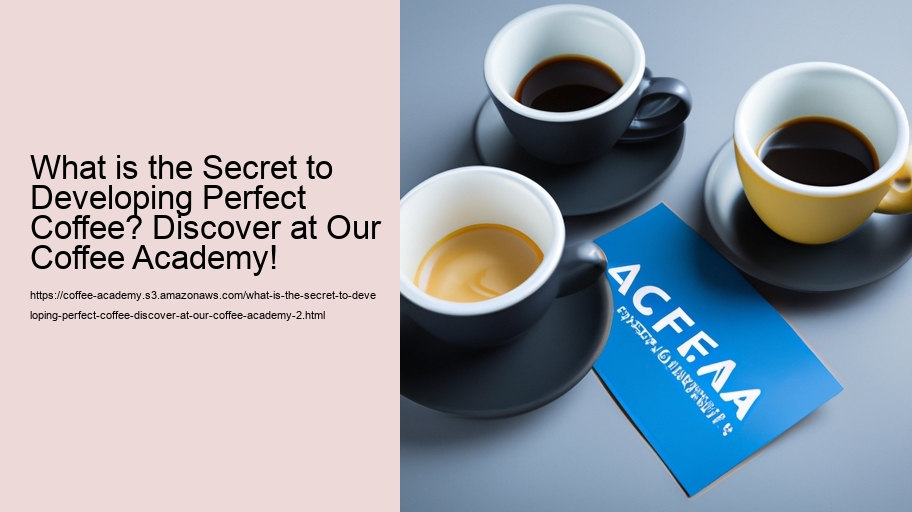 What is the Secret to Developing Perfect Coffee? Discover at Our Coffee Academy!